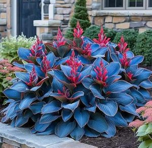 Хоста Грин Фог купить по цене от 669р. в интернет-магазине «Посадика» с доставкой почтой в в Сясьстройе и по всей России – [изображение №1].