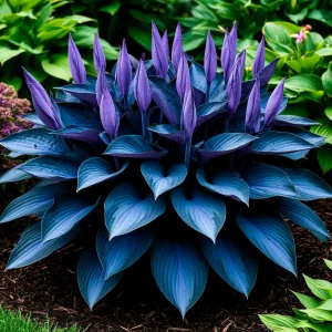 Хоста Сикрет Гров купить по цене от 570р. в интернет-магазине «Посадика» с доставкой почтой в в Сясьстройе и по всей России – [изображение №1].