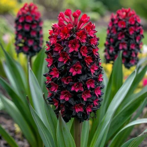 Гиацинт Джем Стоун купить по цене от 2099р. в интернет-магазине «Посадика» с доставкой почтой в в Сясьстройе и по всей России – [изображение №1].