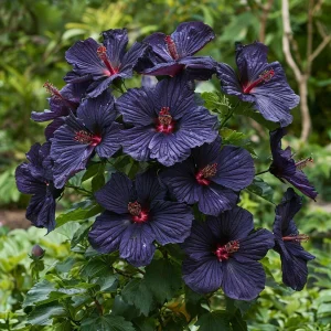 Гибискус Мэджик Момент купить по цене от 699р. в интернет-магазине «Посадика» с доставкой почтой в в Сясьстройе и по всей России – [изображение №1].