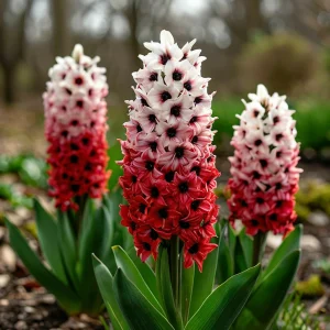 Гиацинт Скай Гарден купить по цене от 2099р. в интернет-магазине «Посадика» с доставкой почтой в в Сясьстройе и по всей России – [изображение №1].